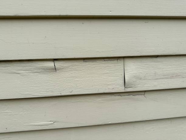 Best Custom Trim and Detailing for Siding  in Trucksville, PA